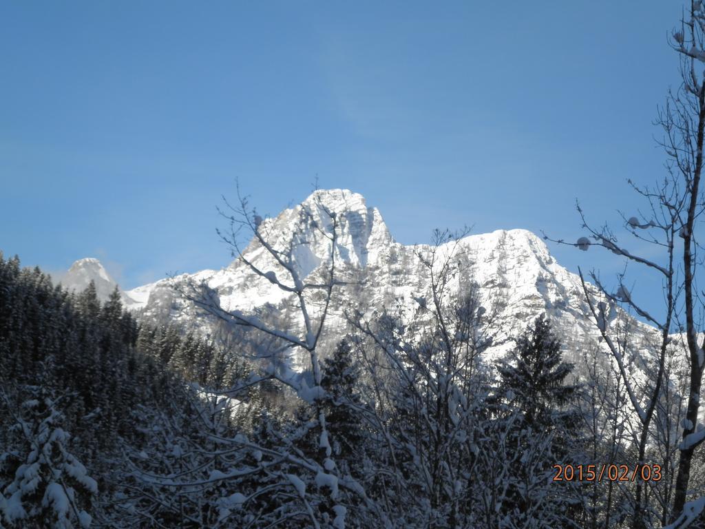 Almurlaub Buchebnerreith, Ferienwohnungen Hinterstoder Exterior foto